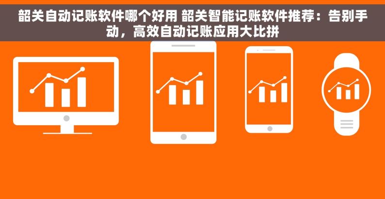 韶关自动记账软件哪个好用 韶关智能记账软件推荐：告别手动，高效自动记账应用大比拼