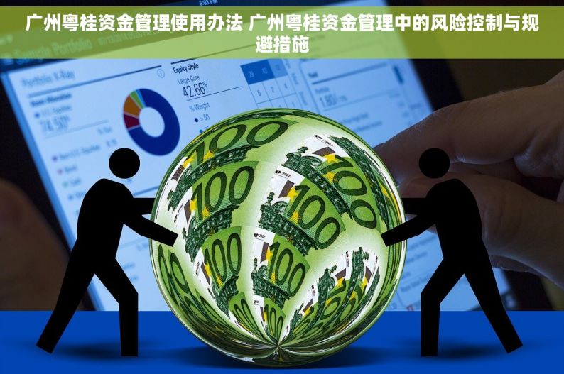 广州粤桂资金管理使用办法 广州粤桂资金管理中的风险控制与规避措施