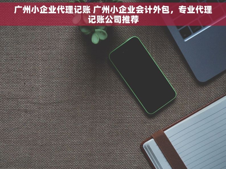 广州小企业代理记账 广州小企业会计外包，专业代理记账公司推荐