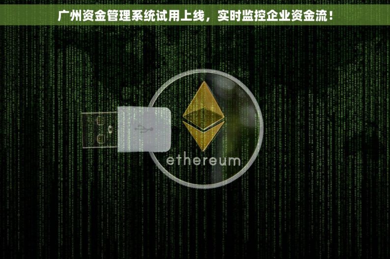 广州资金管理系统试用上线，实时监控企业资金流！