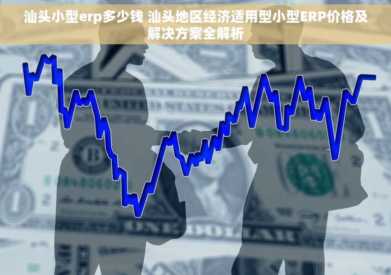 汕头小型erp多少钱 汕头地区经济适用型小型ERP价格及解决方案全解析