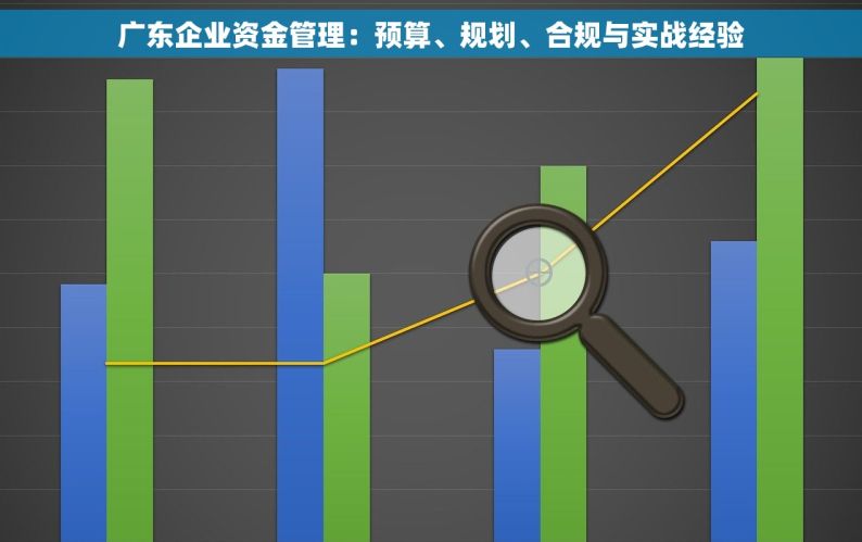广东企业资金管理：预算、规划、合规与实战经验