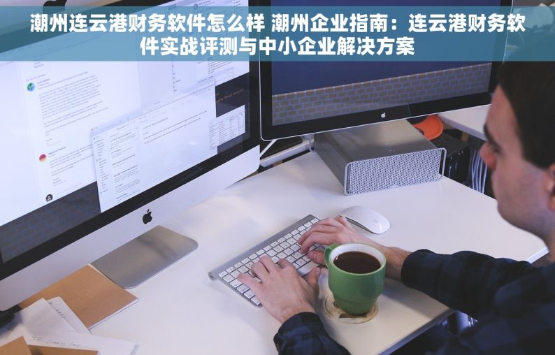 潮州连云港财务软件怎么样 潮州企业指南：连云港财务软件实战评测与中小企业解决方案