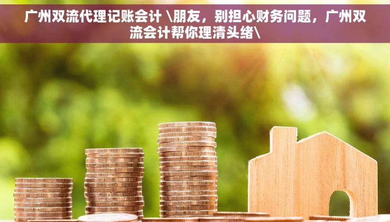 广州双流代理记账会计 \朋友，别担心财务问题，广州双流会计帮你理清头绪\