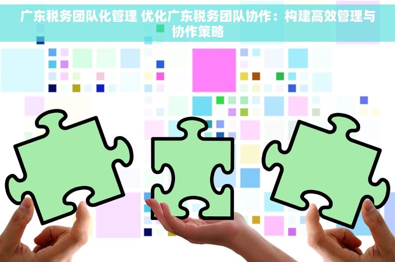 广东税务团队化管理 优化广东税务团队协作：构建高效管理与协作策略