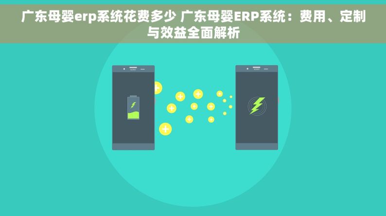 广东母婴erp系统花费多少 广东母婴ERP系统：费用、定制与效益全面解析