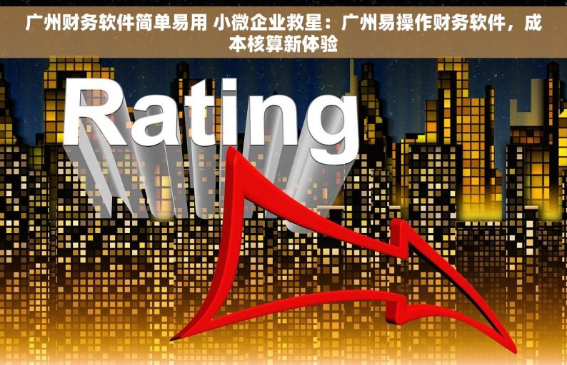 广州财务软件简单易用 小微企业救星：广州易操作财务软件，成本核算新体验