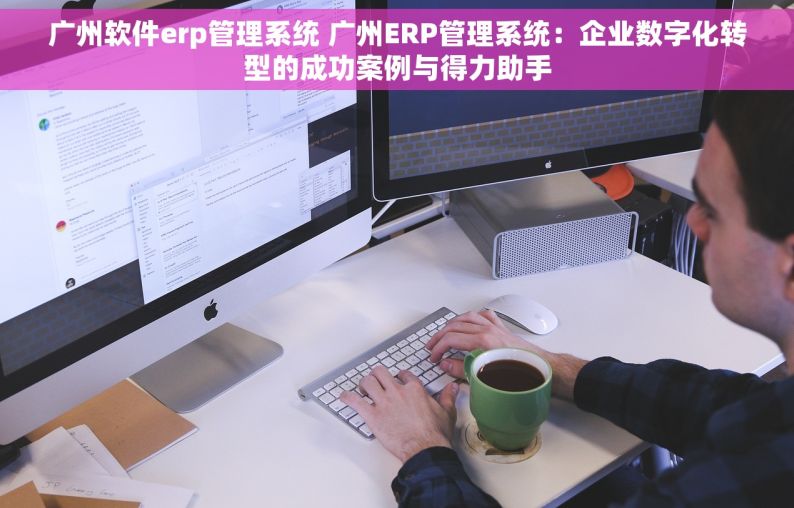 广州软件erp管理系统 广州ERP管理系统：企业数字化转型的成功案例与得力助手