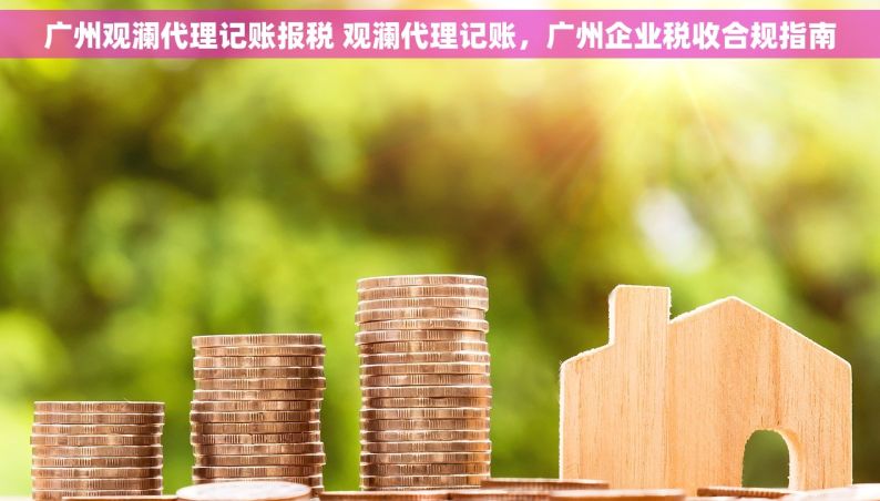 广州观澜代理记账报税 观澜代理记账，广州企业税收合规指南