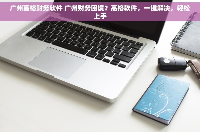 广州高格财务软件 广州财务困境？高格软件，一键解决，轻松上手