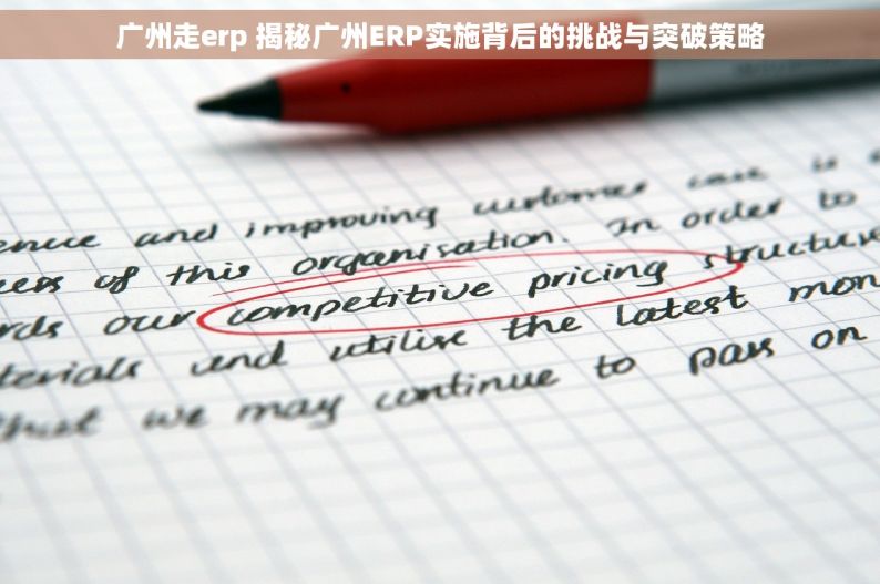 广州走erp 揭秘广州ERP实施背后的挑战与突破策略