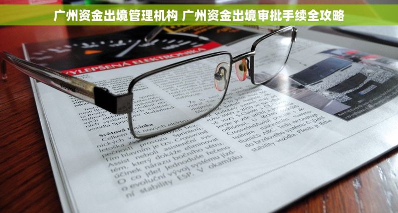 广州资金出境管理机构 广州资金出境审批手续全攻略