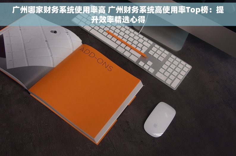广州哪家财务系统使用率高 广州财务系统高使用率Top榜：提升效率精选心得