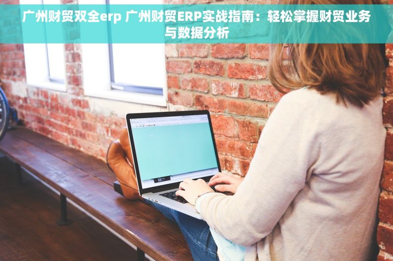 广州财贸双全erp 广州财贸ERP实战指南：轻松掌握财贸业务与数据分析