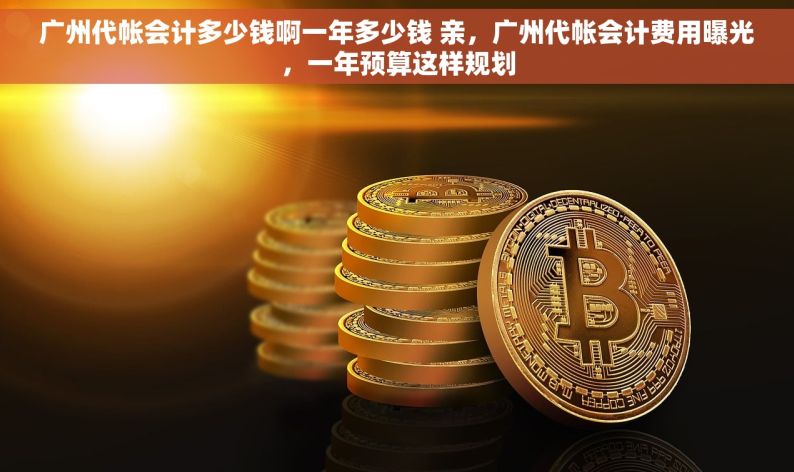 广州代帐会计多少钱啊一年多少钱 亲，广州代帐会计费用曝光，一年预算这样规划