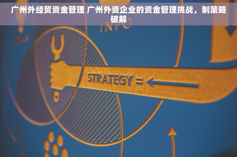 广州外经贸资金管理 广州外资企业的资金管理挑战，制策略破解