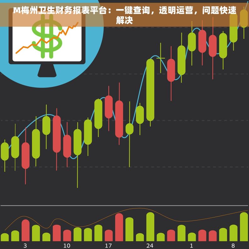 M梅州卫生财务报表平台：一键查询，透明运营，问题快速解决