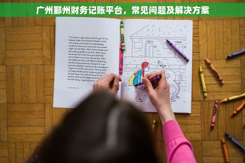 广州鄞州财务记账平台，常见问题及解决方案