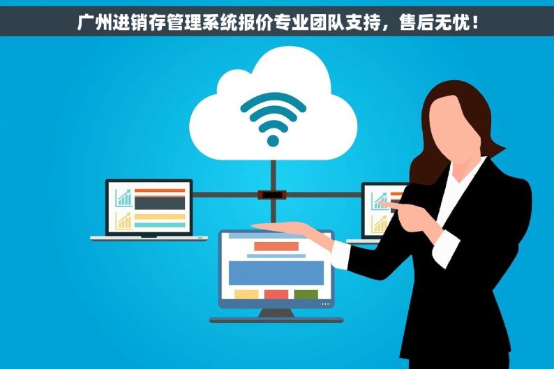 广州进销存管理系统报价专业团队支持，售后无忧！