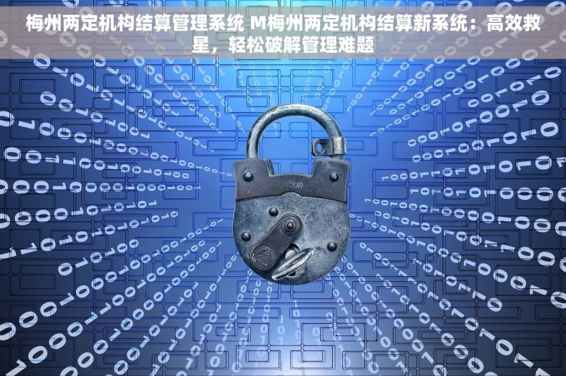 梅州两定机构结算管理系统 M梅州两定机构结算新系统：高效救星，轻松破解管理难题