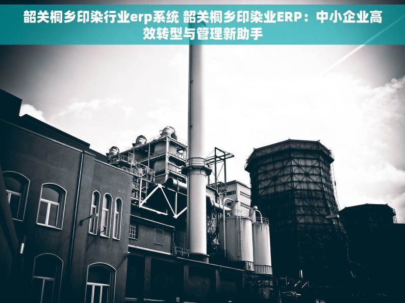韶关桐乡印染行业erp系统 韶关桐乡印染业ERP：中小企业高效转型与管理新助手