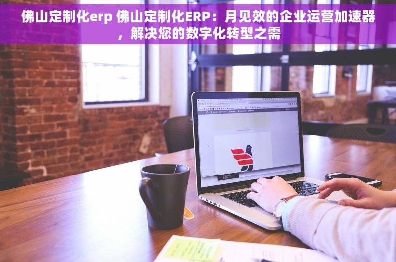 佛山定制化erp 佛山定制化ERP：月见效的企业运营加速器，解决您的数字化转型之需