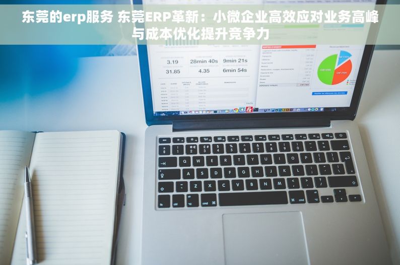 东莞的erp服务 东莞ERP革新：小微企业高效应对业务高峰与成本优化提升竞争力