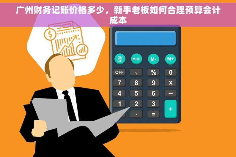 广州财务记账价格多少，新手老板如何合理预算会计成本