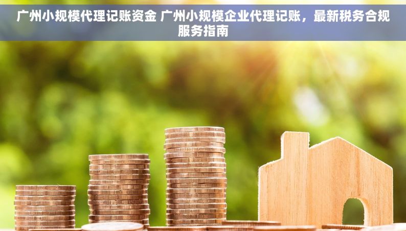 广州小规模代理记账资金 广州小规模企业代理记账，最新税务合规服务指南