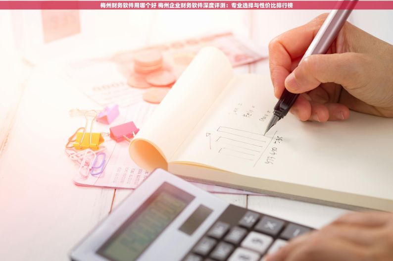 梅州财务软件用哪个好 梅州企业财务软件深度评测：专业选择与性价比排行榜