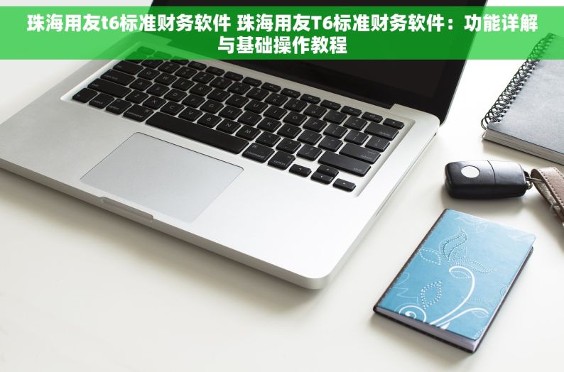 珠海用友t6标准财务软件 珠海用友T6标准财务软件：功能详解与基础操作教程