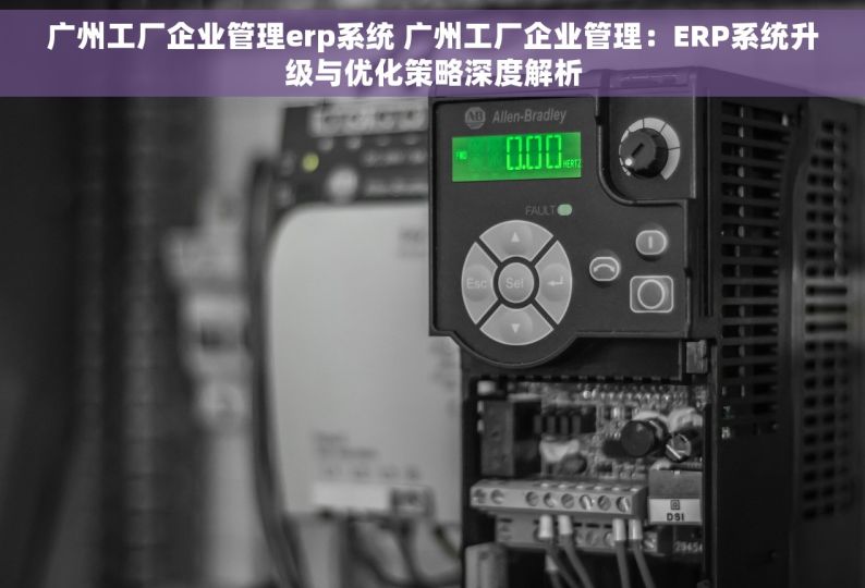 广州工厂企业管理erp系统 广州工厂企业管理：ERP系统升级与优化策略深度解析