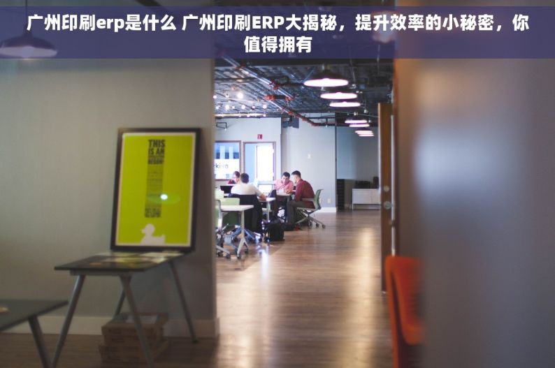 广州印刷erp是什么 广州印刷ERP大揭秘，提升效率的小秘密，你值得拥有
