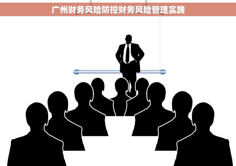 广州财务风险防控财务风险管理实践