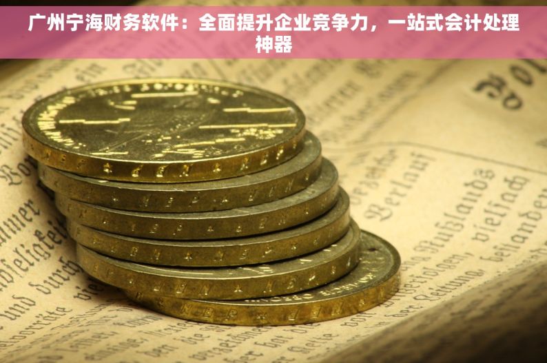 广州宁海财务软件：全面提升企业竞争力，一站式会计处理神器