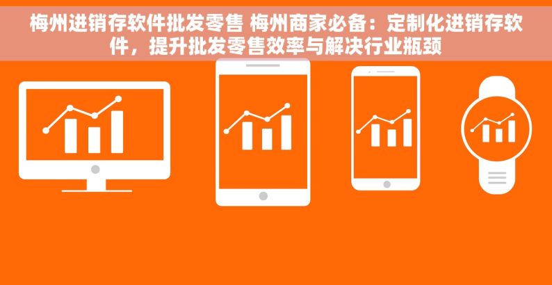 梅州进销存软件批发零售 梅州商家必备：定制化进销存软件，提升批发零售效率与解决行业瓶颈