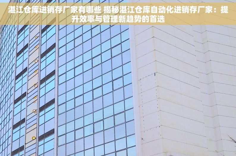 湛江仓库进销存厂家有哪些 揭秘湛江仓库自动化进销存厂家：提升效率与管理新趋势的首选