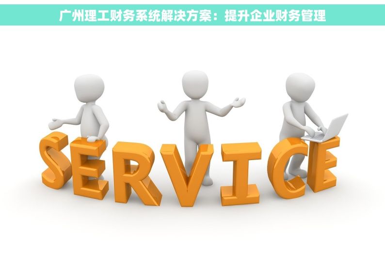 广州理工财务系统解决方案：提升企业财务管理