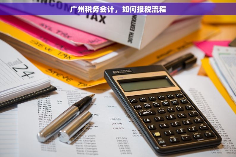 广州税务会计，如何报税流程