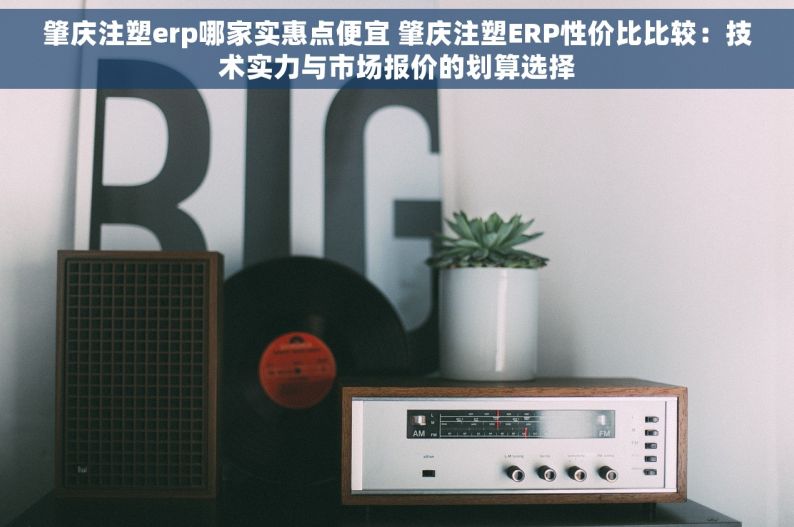 肇庆注塑erp哪家实惠点便宜 肇庆注塑ERP性价比比较：技术实力与市场报价的划算选择