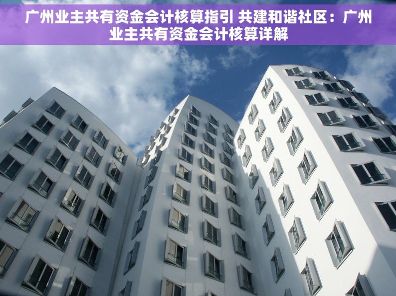 广州业主共有资金会计核算指引 共建和谐社区：广州业主共有资金会计核算详解