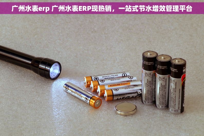 广州水表erp 广州水表ERP现热销，一站式节水增效管理平台