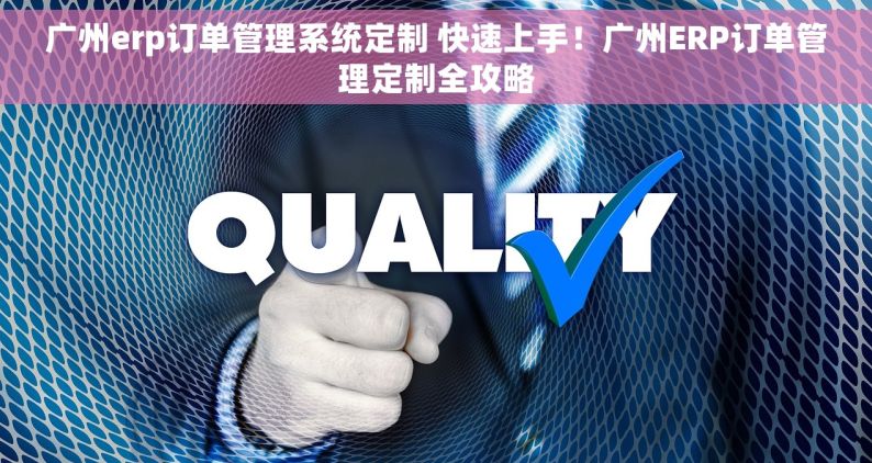广州erp订单管理系统定制 快速上手！广州ERP订单管理定制全攻略