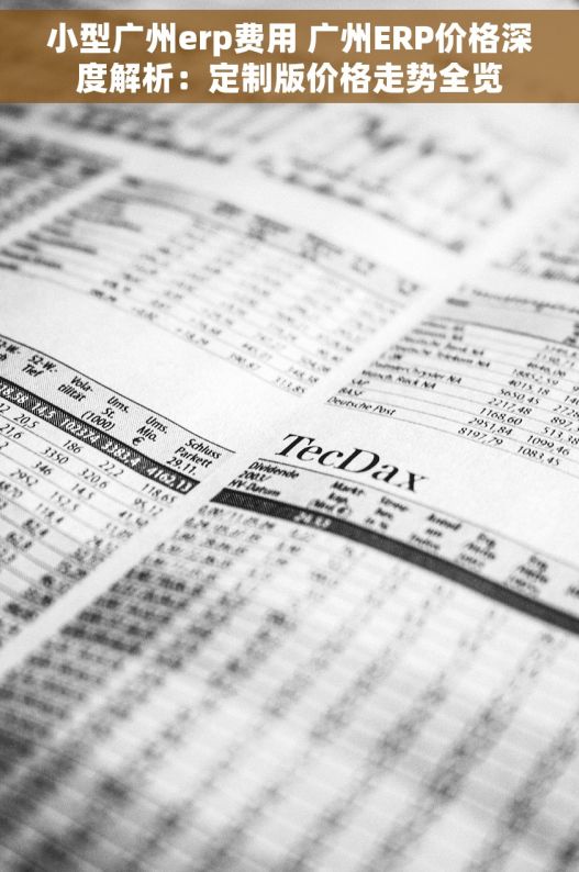 小型广州erp费用 广州ERP价格深度解析：定制版价格走势全览