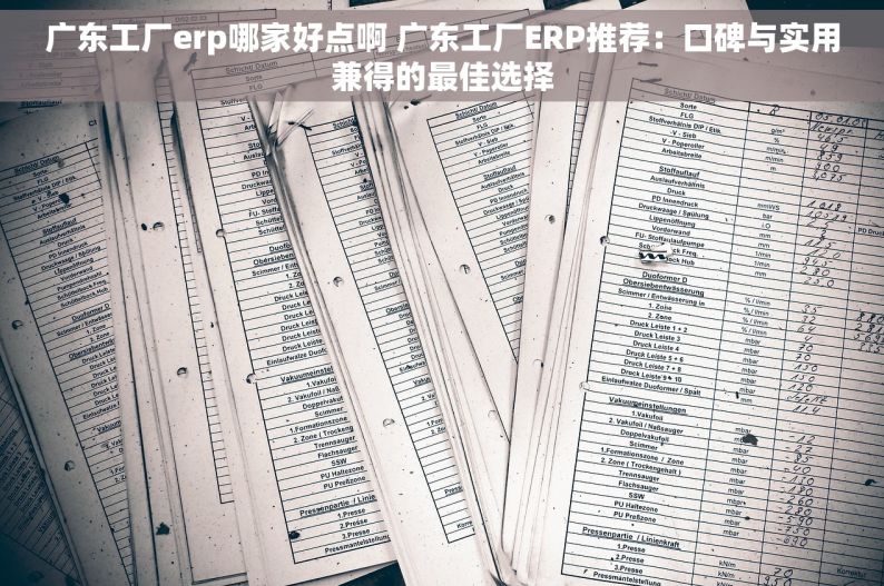 广东工厂erp哪家好点啊 广东工厂ERP推荐：口碑与实用兼得的最佳选择
