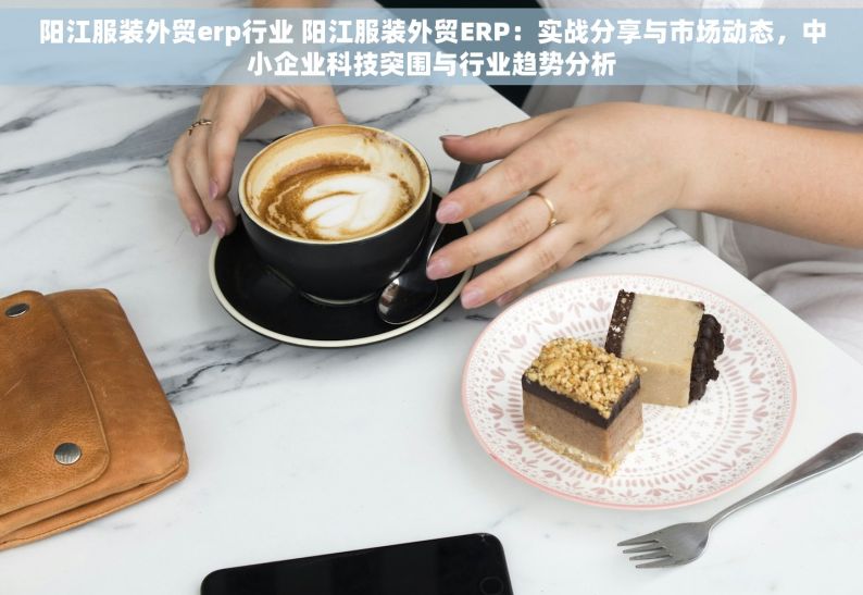 阳江服装外贸erp行业 阳江服装外贸ERP：实战分享与市场动态，中小企业科技突围与行业趋势分析