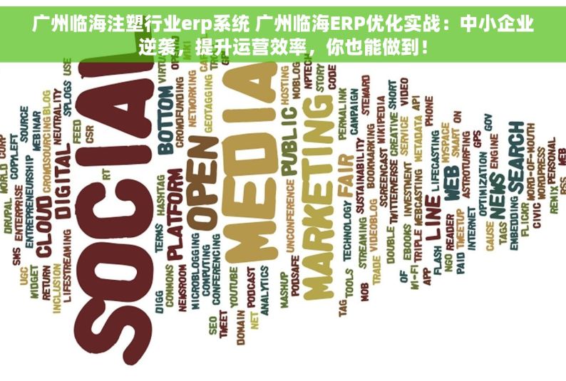 广州临海注塑行业erp系统 广州临海ERP优化实战：中小企业逆袭，提升运营效率，你也能做到！