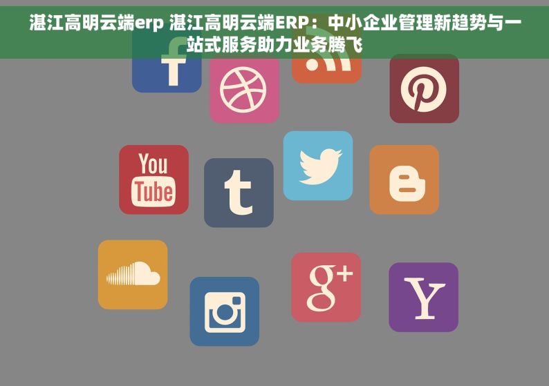 湛江高明云端erp 湛江高明云端ERP：中小企业管理新趋势与一站式服务助力业务腾飞
