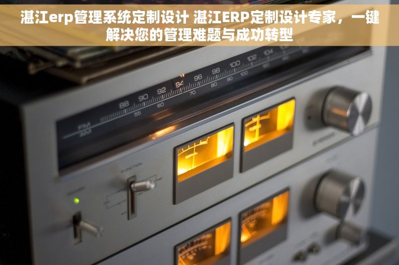 湛江erp管理系统定制设计 湛江ERP定制设计专家，一键解决您的管理难题与成功转型