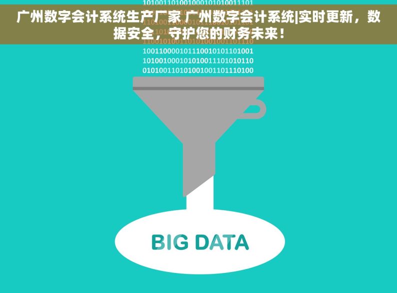 广州数字会计系统生产厂家 广州数字会计系统|实时更新，数据安全，守护您的财务未来！